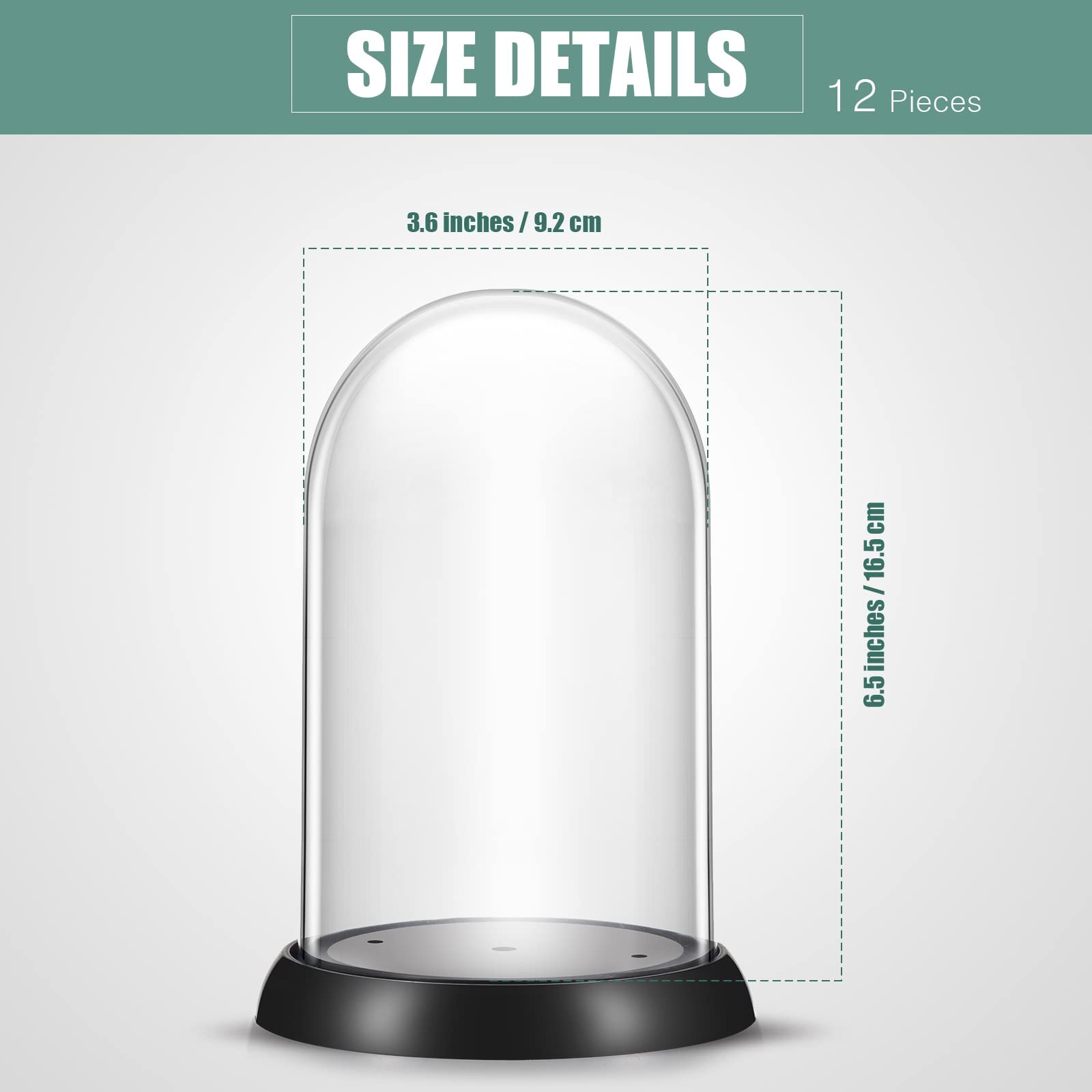 Zhengmy 12 Pieces Plastic Dome Display Case Cloche Black and Clear