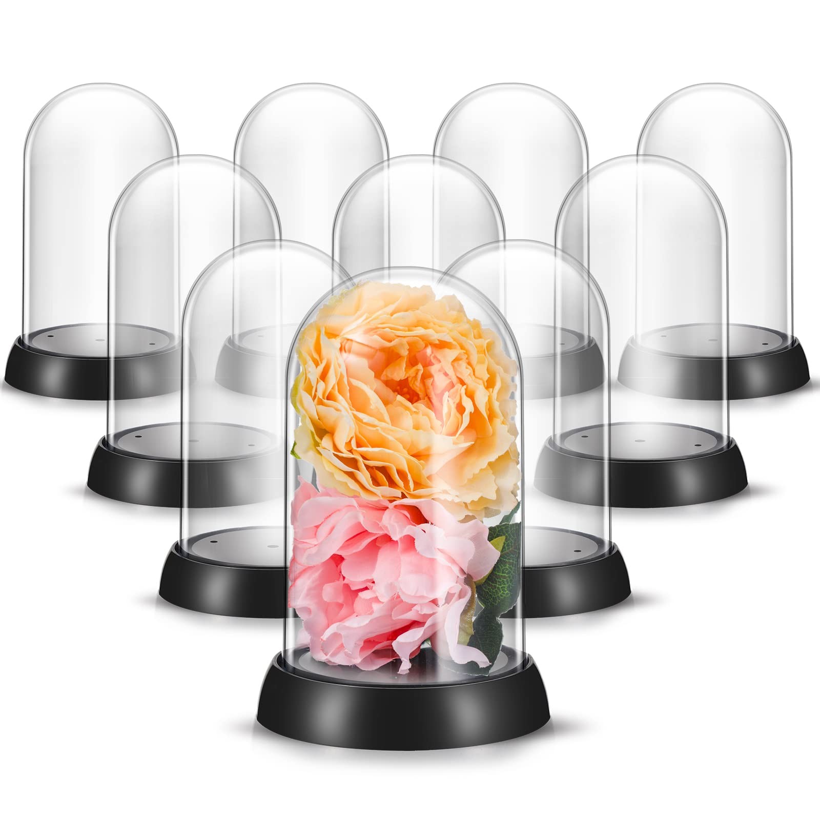 Zhengmy 12 Pieces Plastic Dome Display Case Cloche Black and Clear