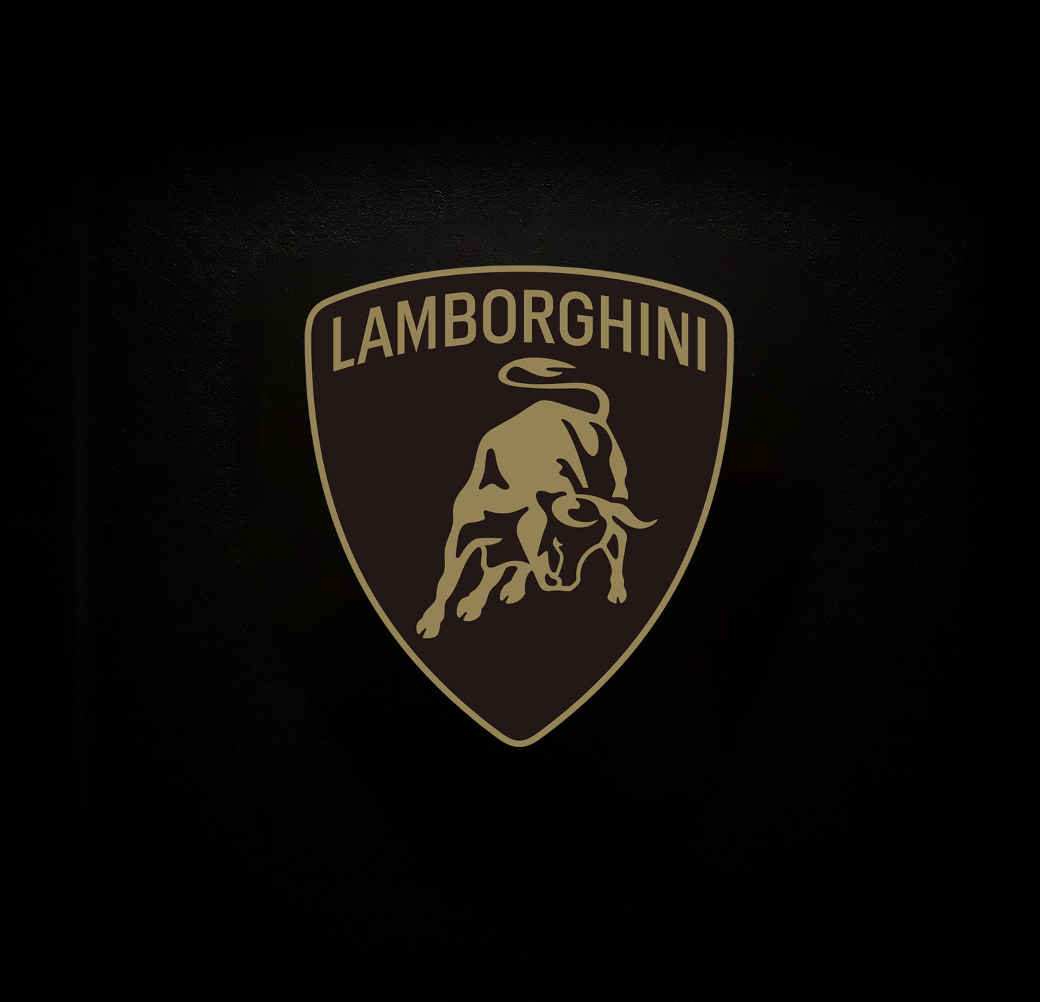 1:24 Officially Licensed Lamborghini Veneno (includes display frame with lightin