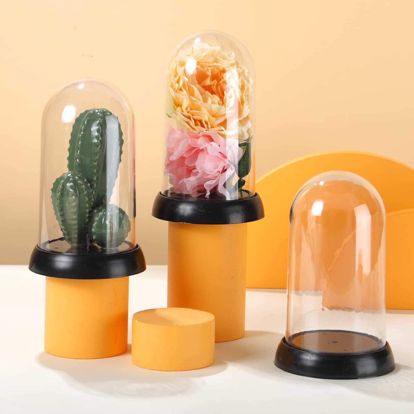 Zhengmy 12 Pieces Plastic Dome Display Case Cloche Black and Clear
