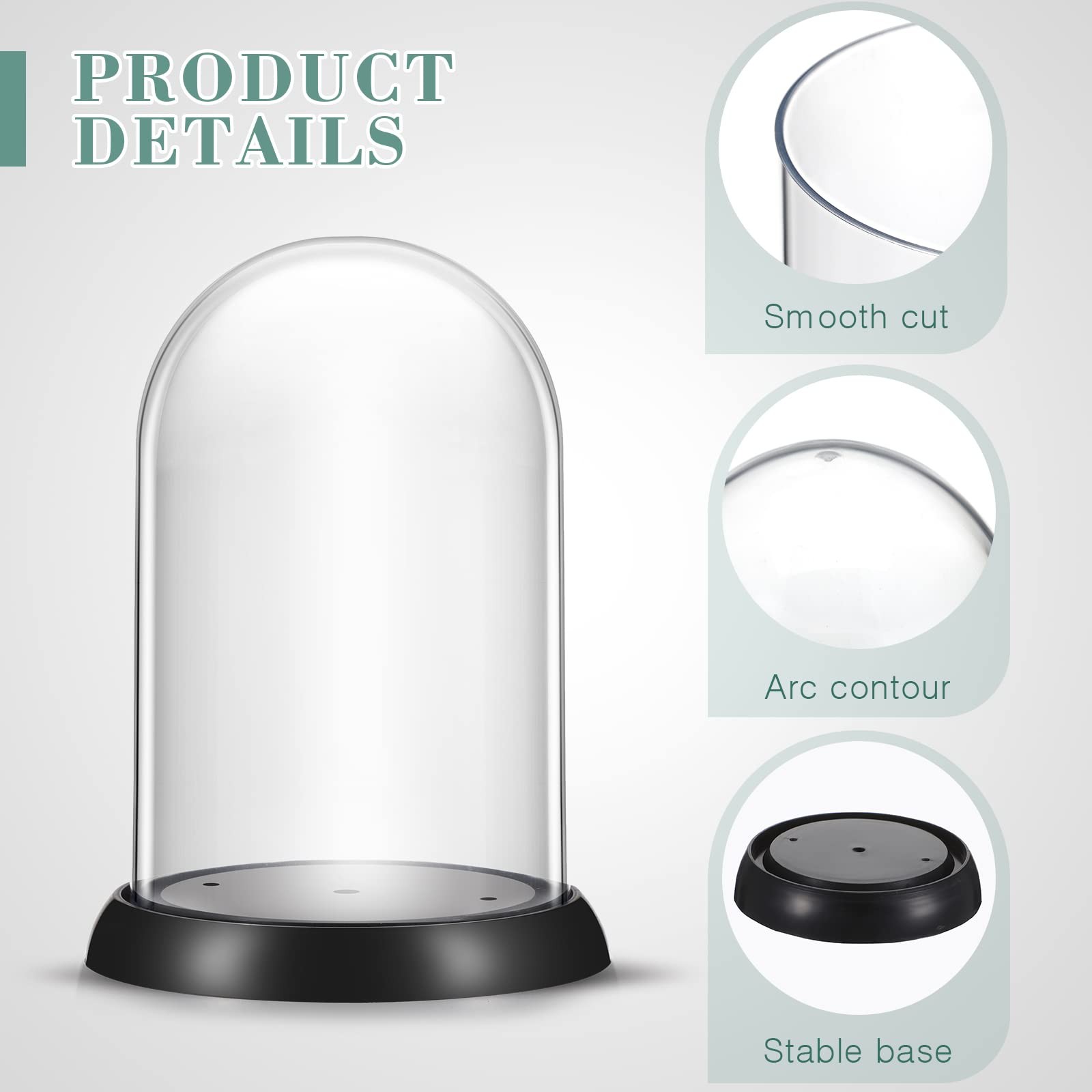 Zhengmy 12 Pieces Plastic Dome Display Case Cloche Black and Clear
