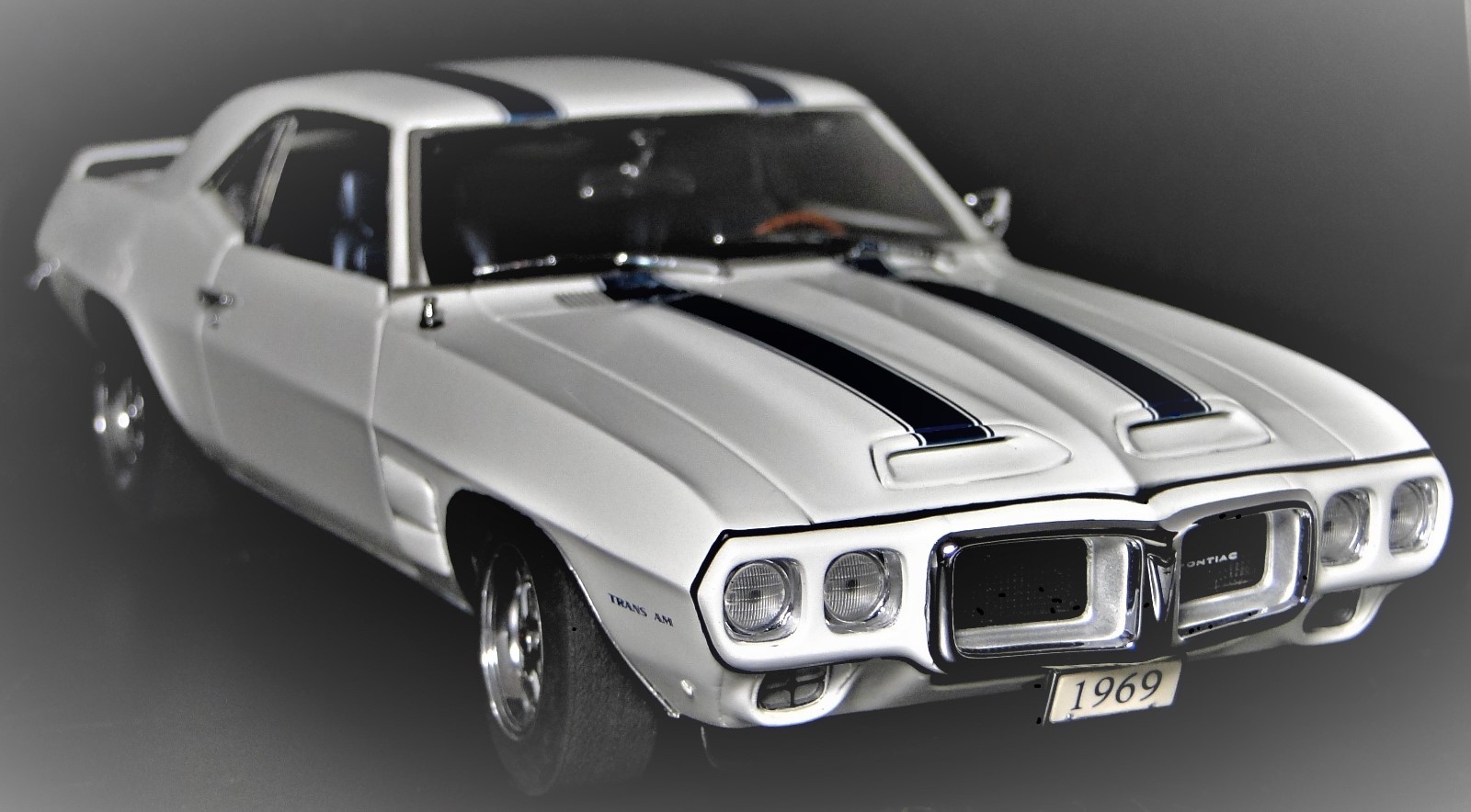 Pontiac Trans Am Firebird Race Car Custom Built Metal Model 1:24 18Racing12 1967