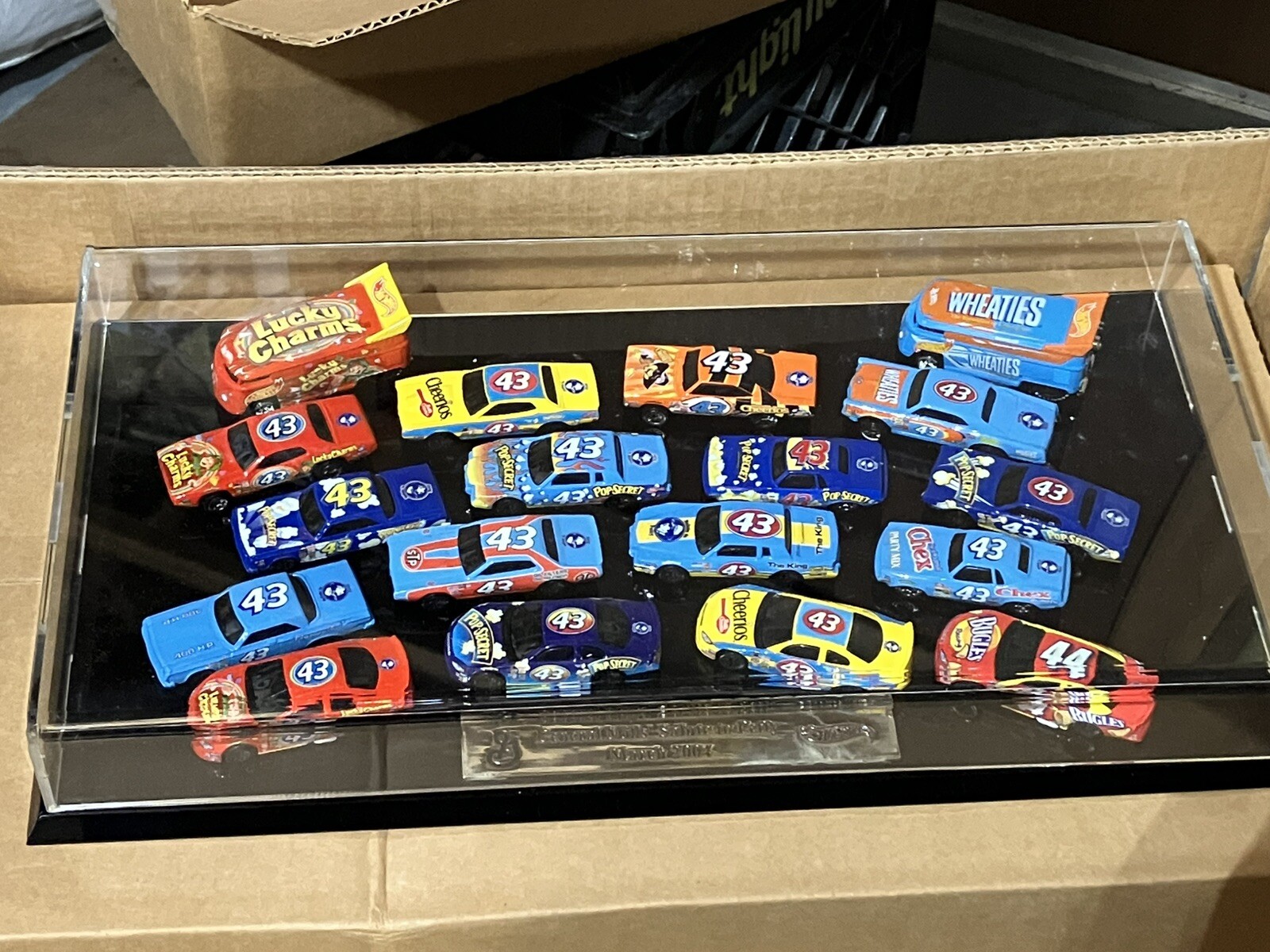 Richard Petty Hot Wheels Salute to Petty 18 Car Set March 2004