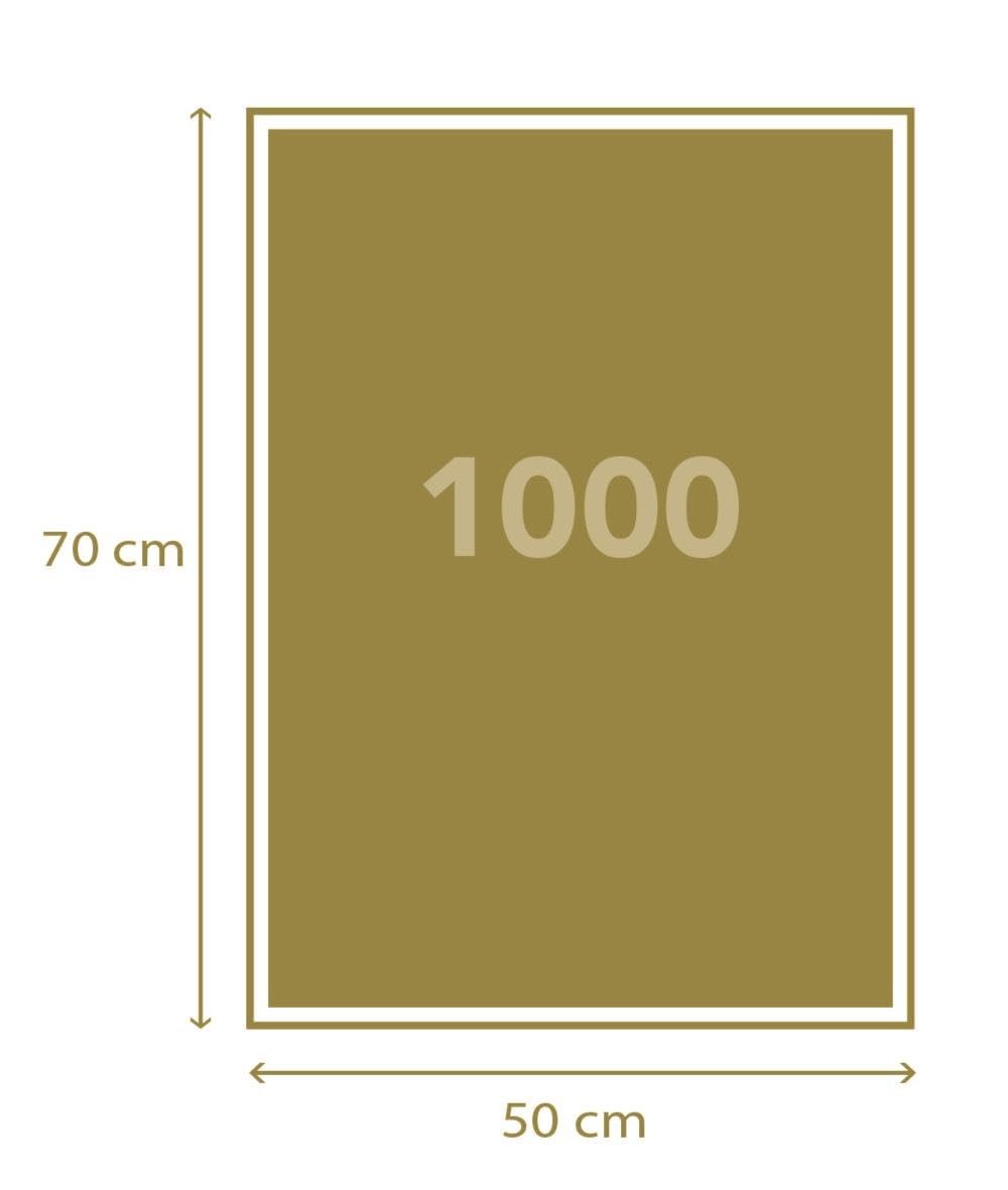 Jigsaw Puzzle 1000 Pieces YuGiOh for Adults 14-99 Years Compact Box 39899