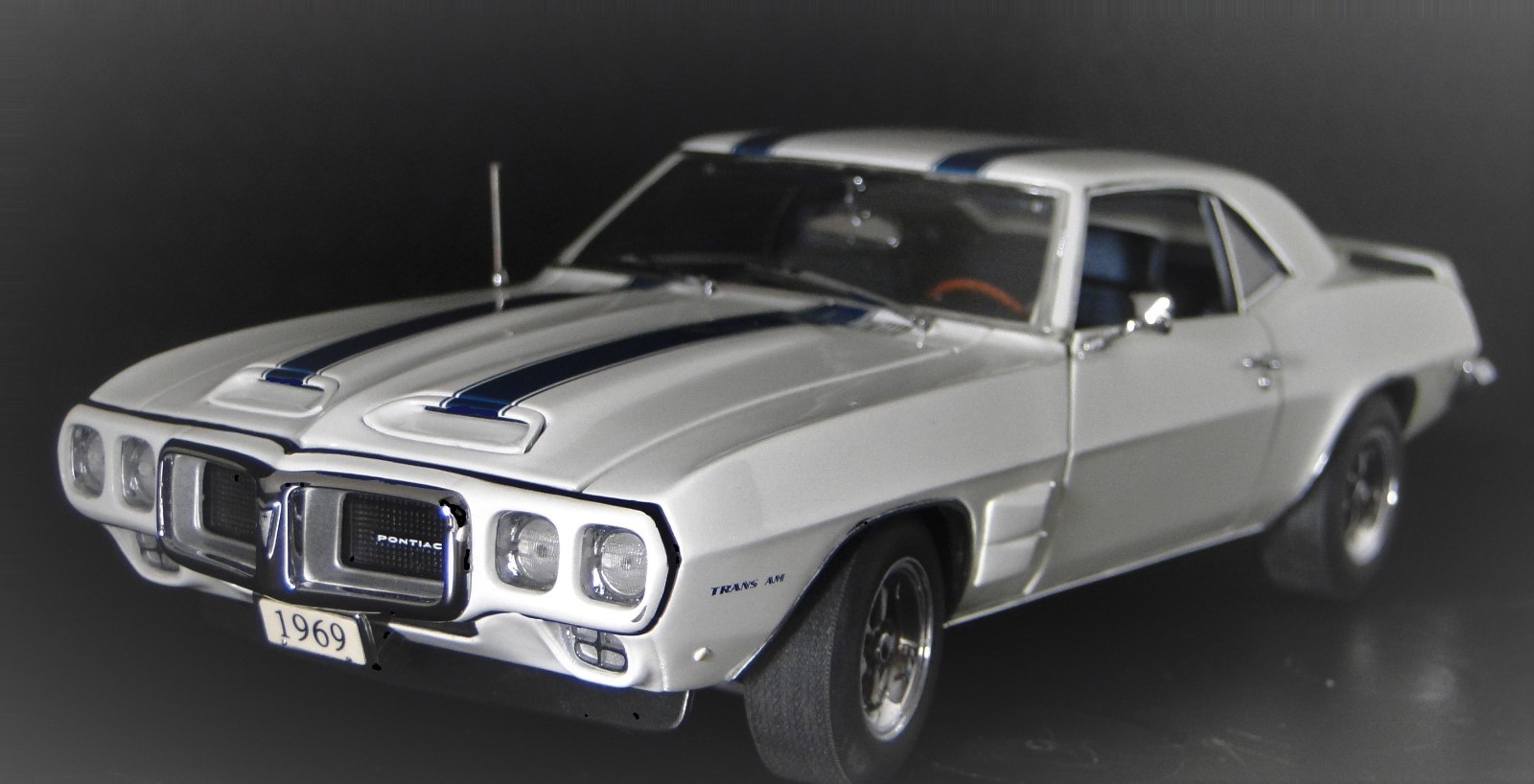 Pontiac Trans Am Firebird Race Car Custom Built Metal Model 1:24 18Racing12 1967