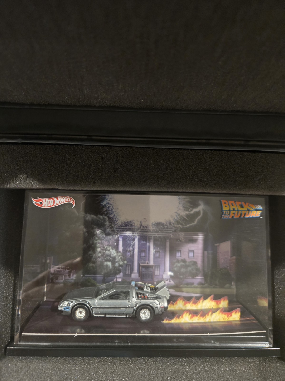 HOT WHEELS 2011 SDCC BACK TO THE FUTURE DELOREAN Plutonium Case Diecast , Rare